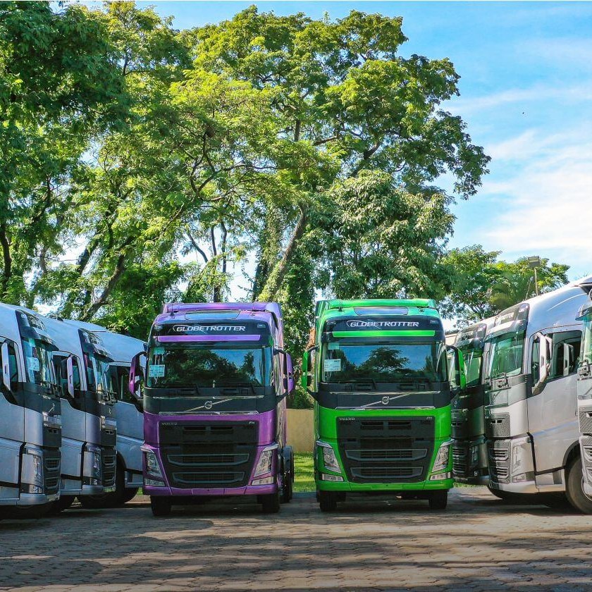 Rodojunior Transportes e Logística